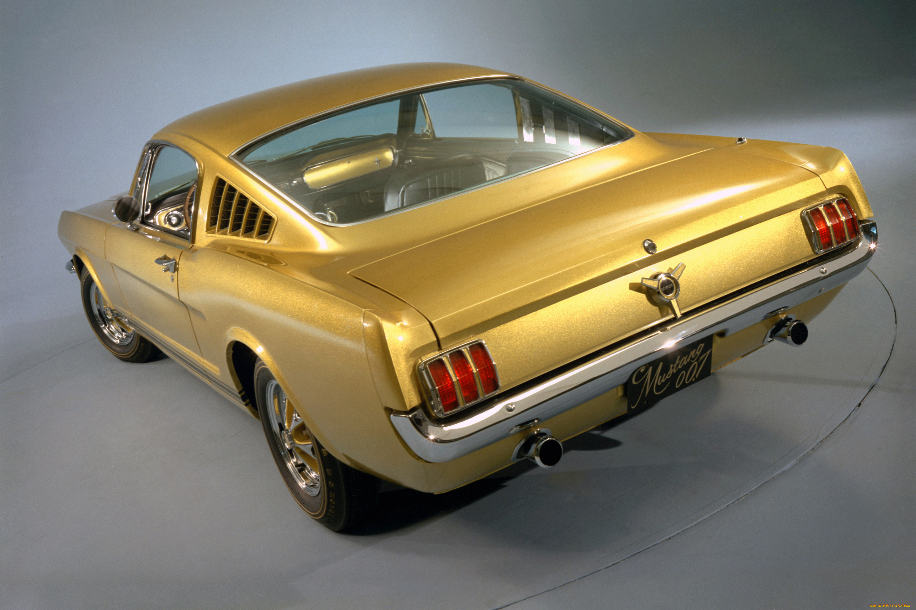 , mustang